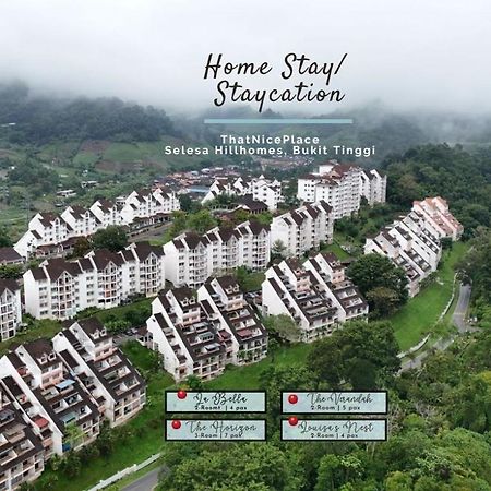 Thatniceplace, Selesa Hillhomes, Bukit Tinggi, Janda Baik, Genting Bentong Exterior photo