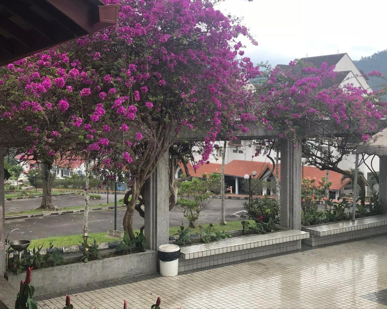 Thatniceplace, Selesa Hillhomes, Bukit Tinggi, Janda Baik, Genting Bentong Exterior photo